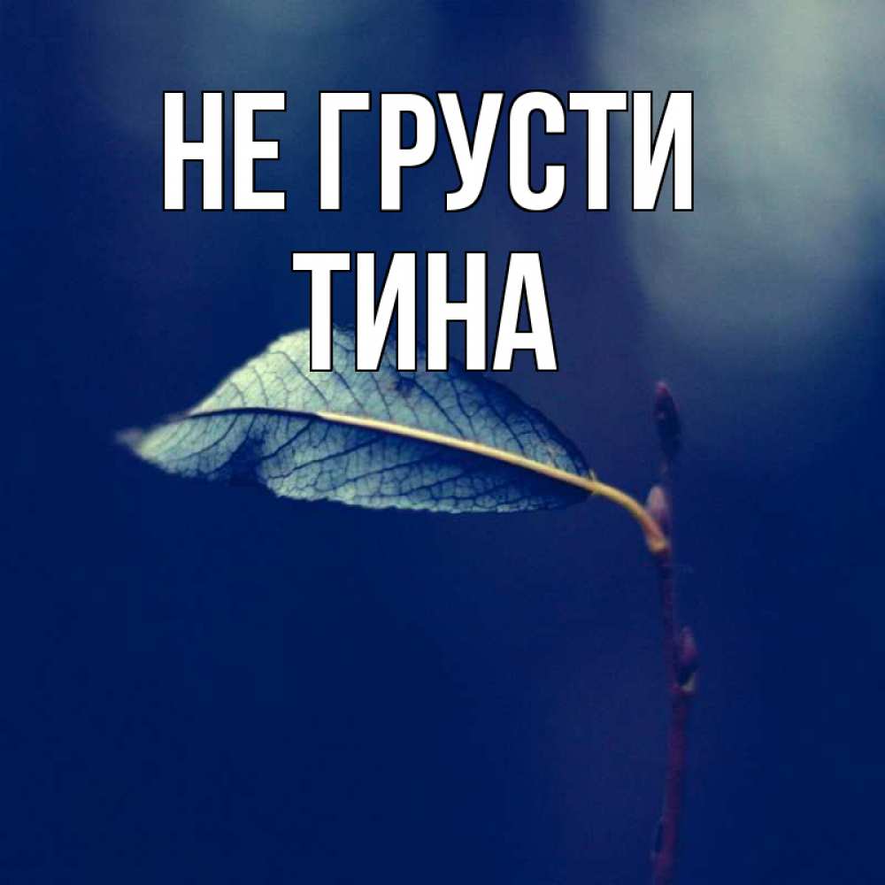 Открытка на каждый день с именем, Тина Не грусти растение Прикольная открытка с пожеланием онлайн скачать бесплатно 