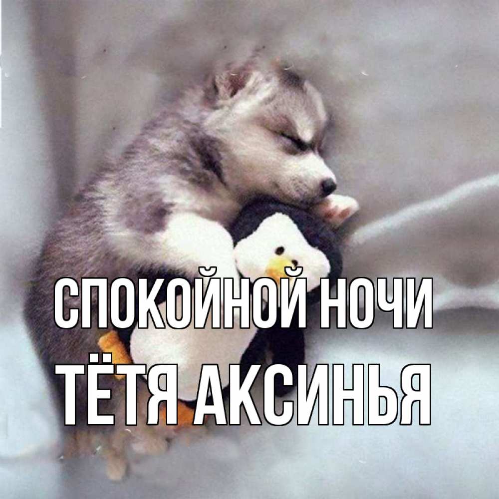 Открытка на каждый день с именем, Тётя-Аксинья Спокойной ночи обнимашки щенка и пингвина Прикольная открытка с пожеланием онлайн скачать бесплатно 