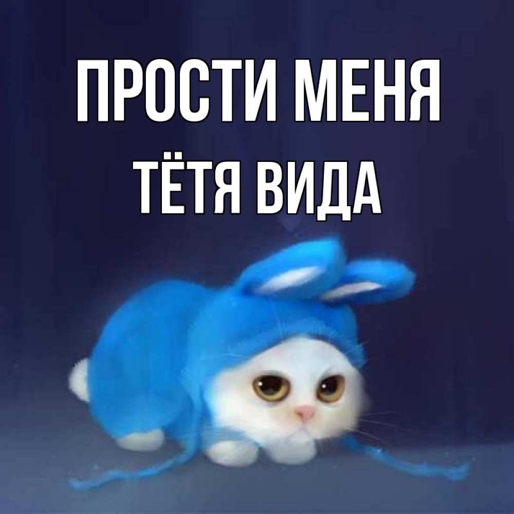 Открытка на каждый день с именем, Тётя-Вида Прости меня невинный котозай просит прощения Прикольная открытка с пожеланием онлайн скачать бесплатно 
