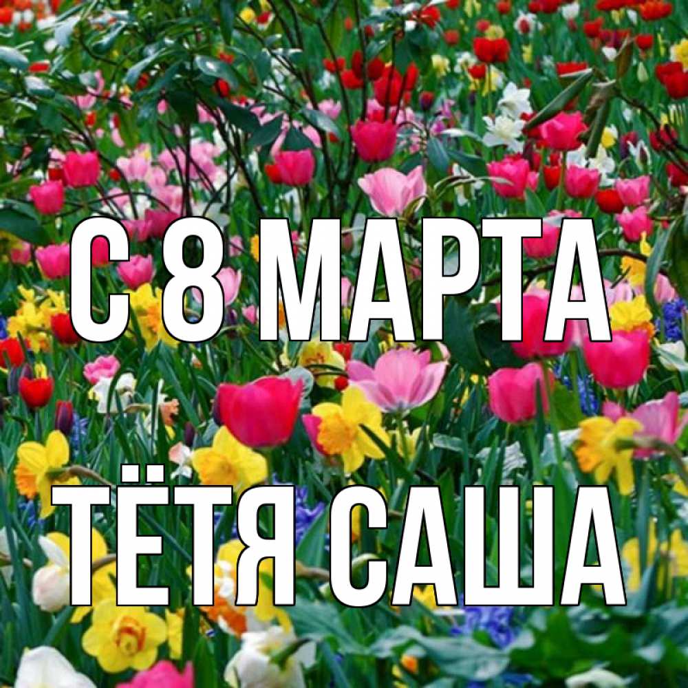 Открытка на каждый день с именем, Тётя-Саша С 8 МАРТА с международным женским днем поздравления для женщины Прикольная открытка с пожеланием онлайн скачать бесплатно 