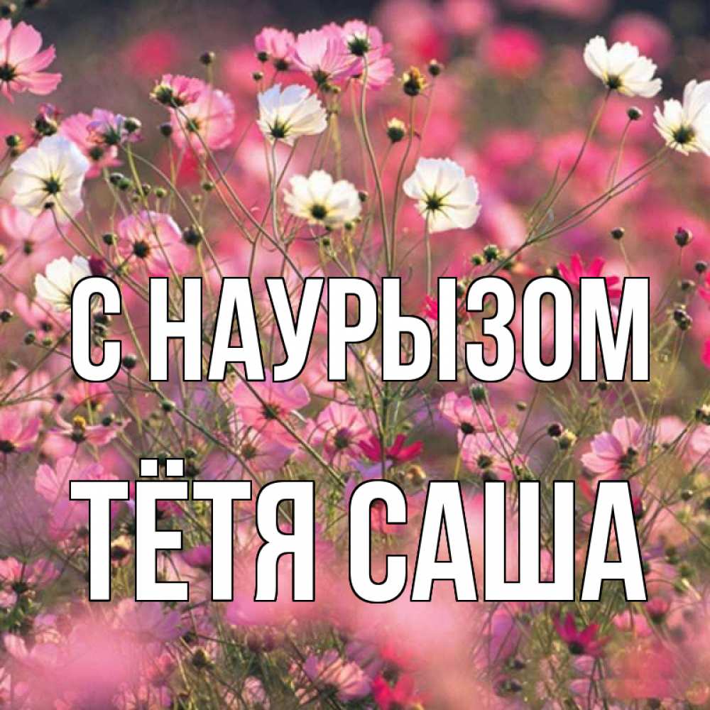 Открытка на каждый день с именем, Тётя-Саша С наурызом красиво 1 Прикольная открытка с пожеланием онлайн скачать бесплатно 