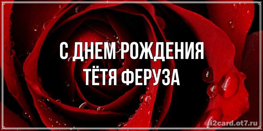 Открытка на каждый день с именем, Тётя-Феруза С днем рождения крупная бордовая роза Прикольная открытка с пожеланием онлайн скачать бесплатно 