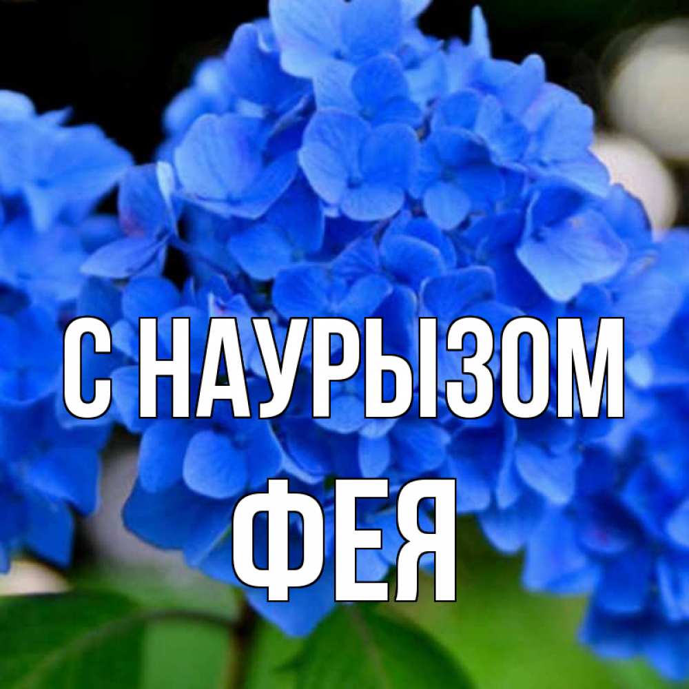 Открытка на каждый день с именем, Фея С наурызом синие цветы Прикольная открытка с пожеланием онлайн скачать бесплатно 