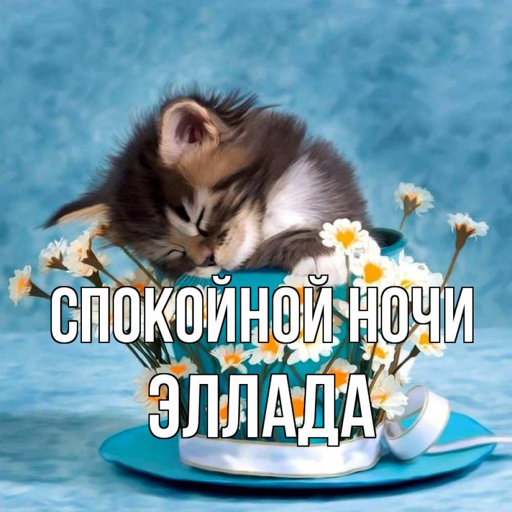 Открытка на каждый день с именем, Эллада Спокойной ночи котенок спит в кружке с блюдцем Прикольная открытка с пожеланием онлайн скачать бесплатно 