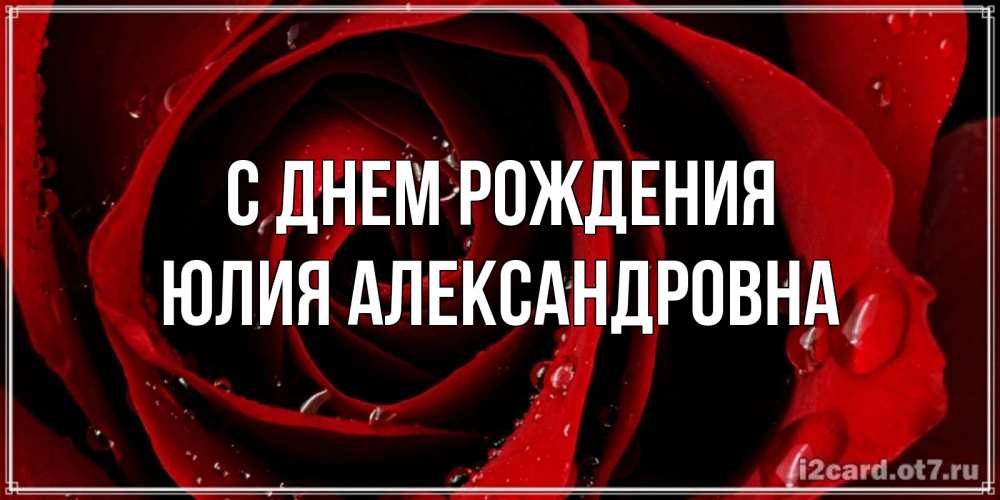 Открытка на каждый день с именем, Юлия-Александровна С днем рождения крупная бордовая роза Прикольная открытка с пожеланием онлайн скачать бесплатно 