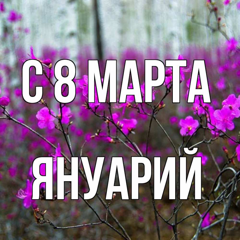 Открытка на каждый день с именем, Януарий С 8 МАРТА дикие цветы Прикольная открытка с пожеланием онлайн скачать бесплатно 