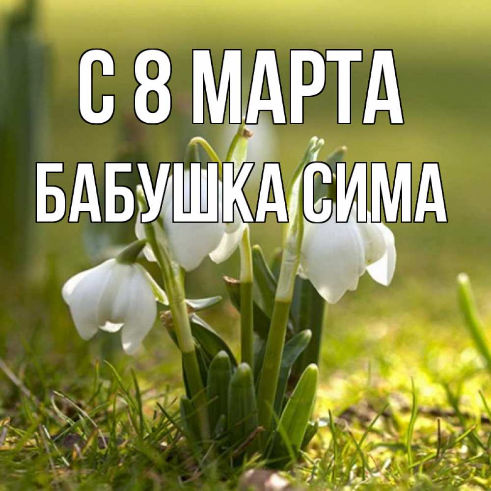 Картинка С 8 марта, Бабушка Сима