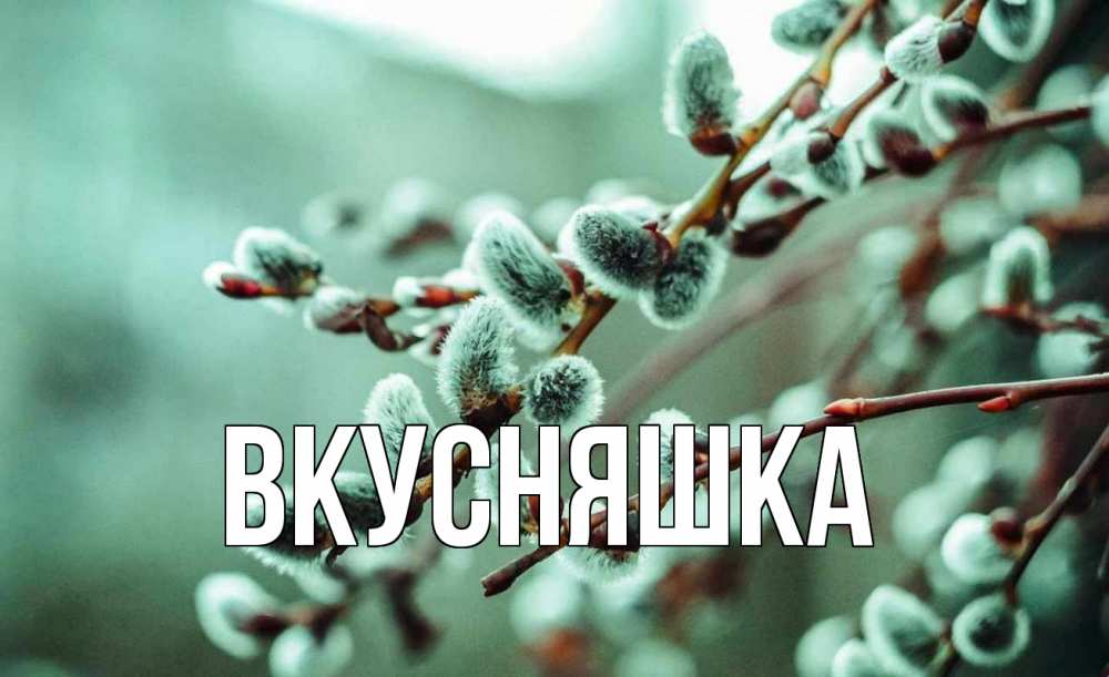 Открытка на каждый день с именем, Вкусняшка Главная верба Прикольная открытка с пожеланием онлайн скачать бесплатно 