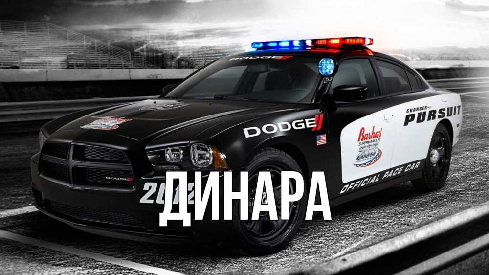 Открытка на каждый день с именем, Динара Главная полиция Прикольная открытка с пожеланием онлайн скачать бесплатно 