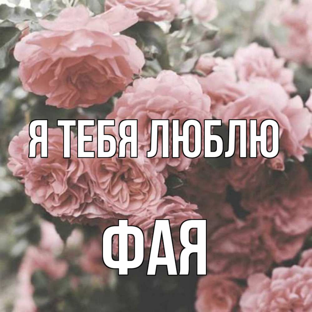 Открытка на каждый день с именем, Фая Я тебя люблю розы 3 Прикольная открытка с пожеланием онлайн скачать бесплатно 