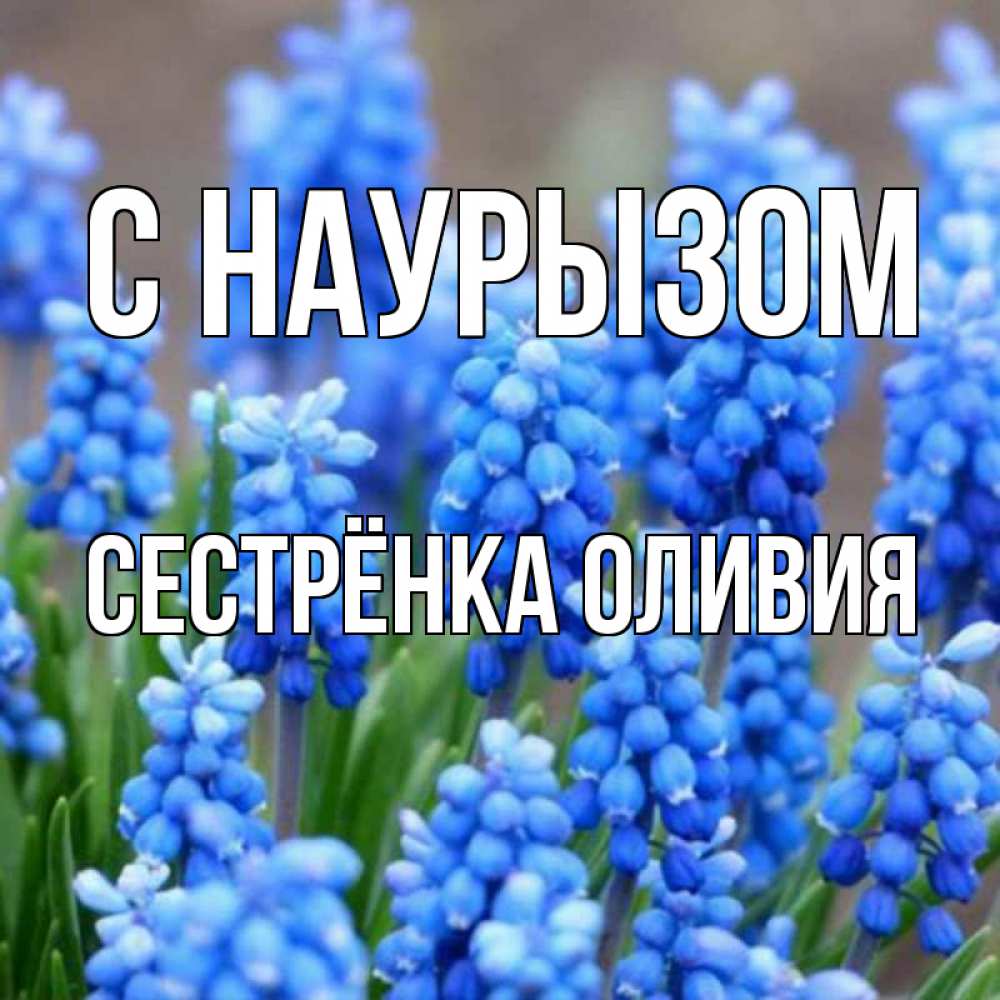 Открытка на каждый день с именем, Сестрёнка-Оливия С наурызом Поздравительная открытка для женщин с цветами на праздничную дату Прикольная открытка с пожеланием онлайн скачать бесплатно 