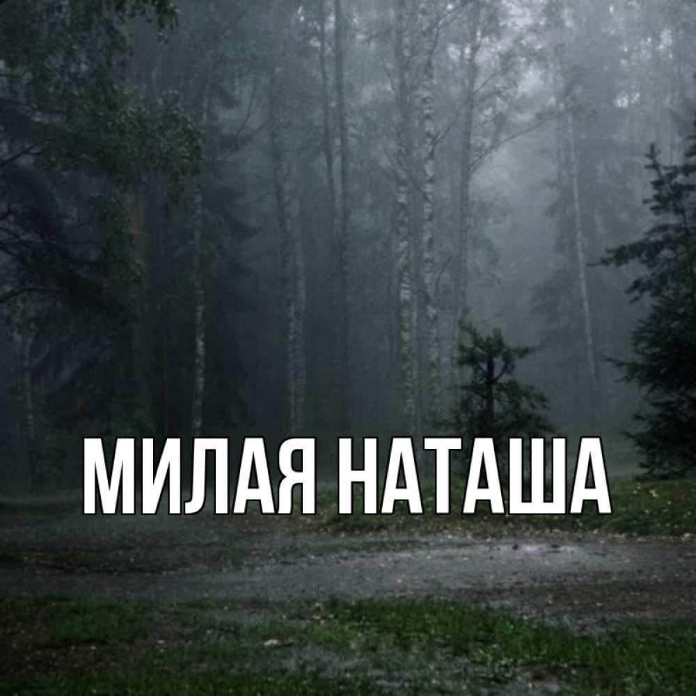 Наташа милей