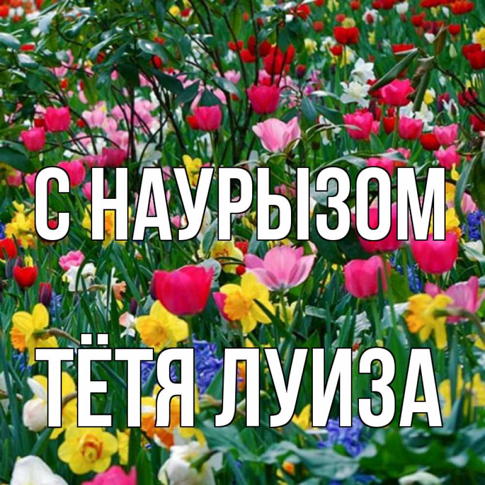 Открытка на каждый день с именем, Тётя-Луиза С наурызом с наурызом праздником весны поздравления для женщины Прикольная открытка с пожеланием онлайн скачать бесплатно 