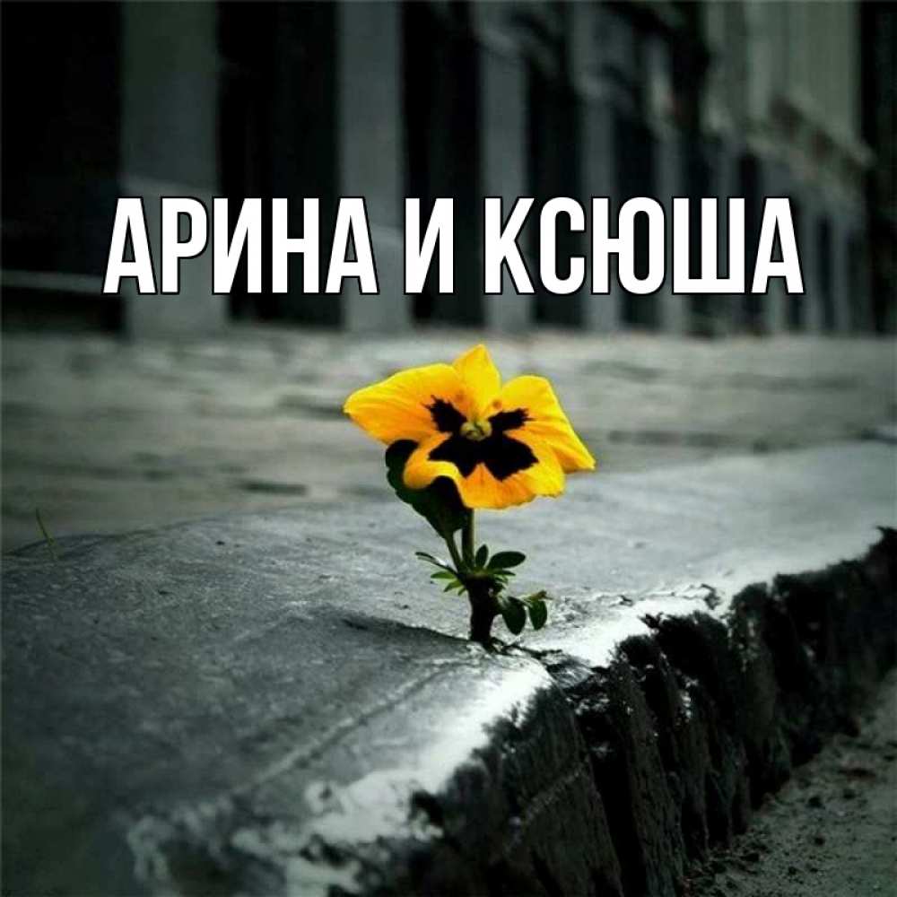 Открытка на каждый день с именем, Арина-и-Ксюша Главная не сдавайся Прикольная открытка с пожеланием онлайн скачать бесплатно 