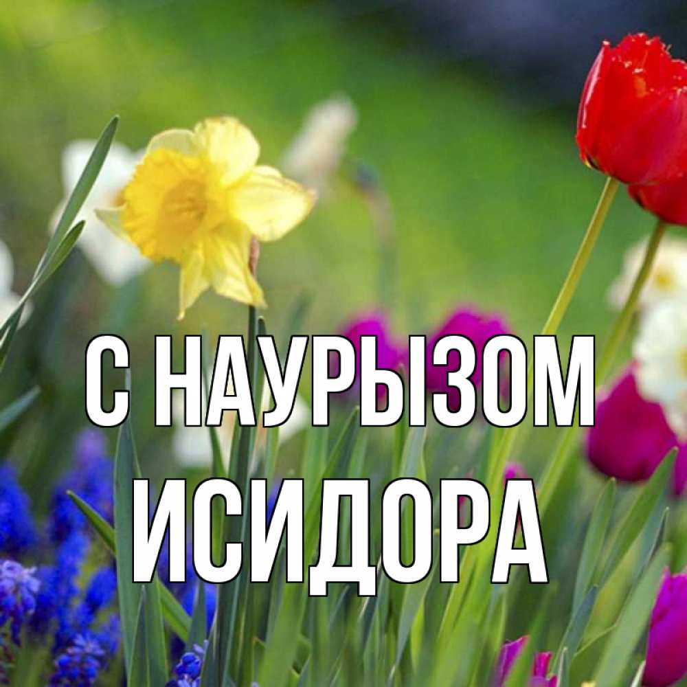 Открытка на каждый день с именем, Исидора С наурызом праздник весны наурыз 3 Прикольная открытка с пожеланием онлайн скачать бесплатно 