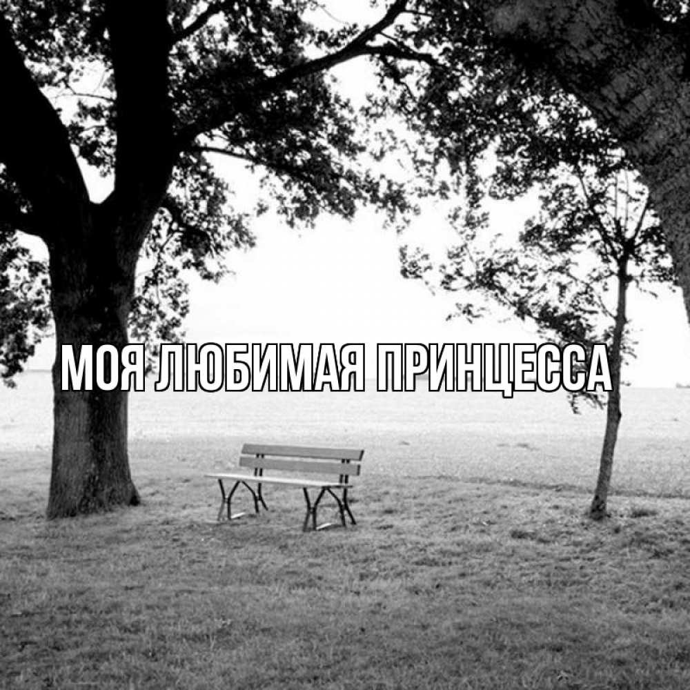 Открытка на каждый день с именем, Моя-Любимая-Принцесса Главная мощное дерево Прикольная открытка с пожеланием онлайн скачать бесплатно 