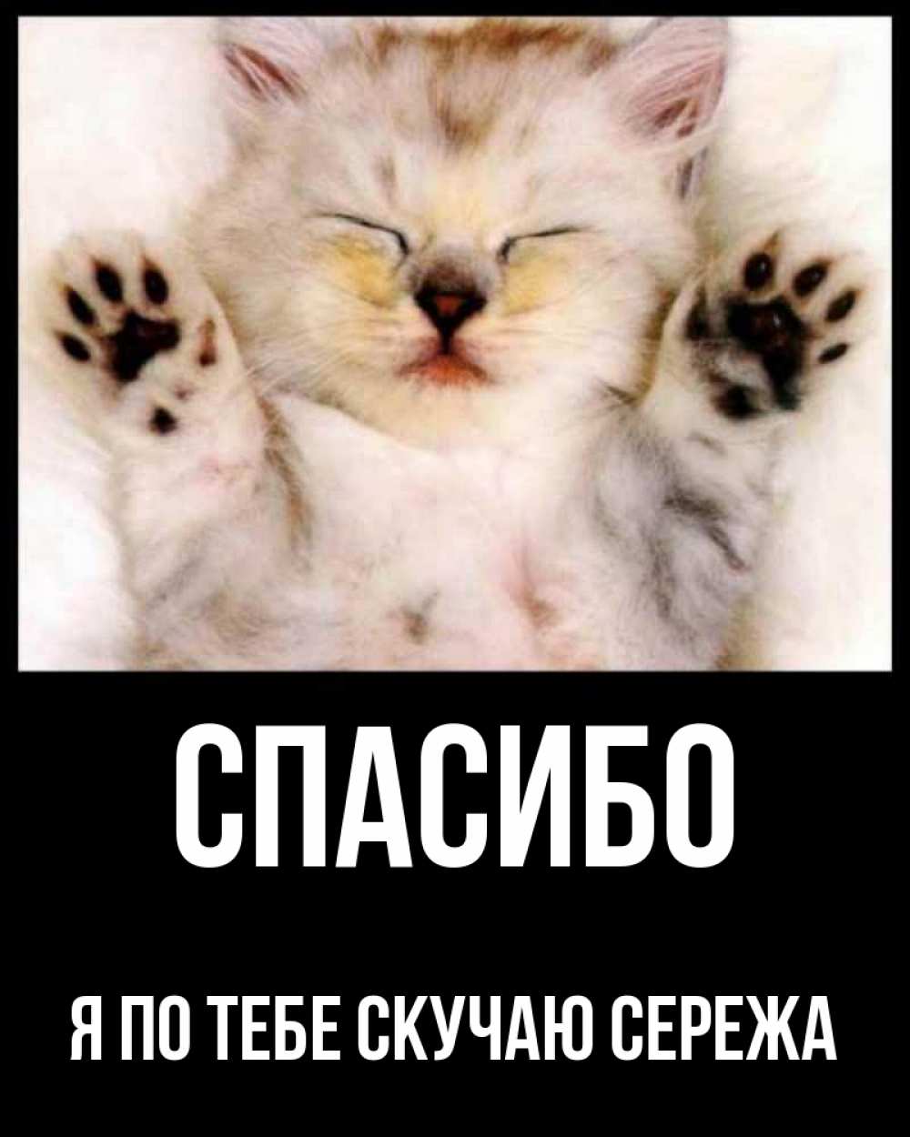 Спасибо сережа картинки