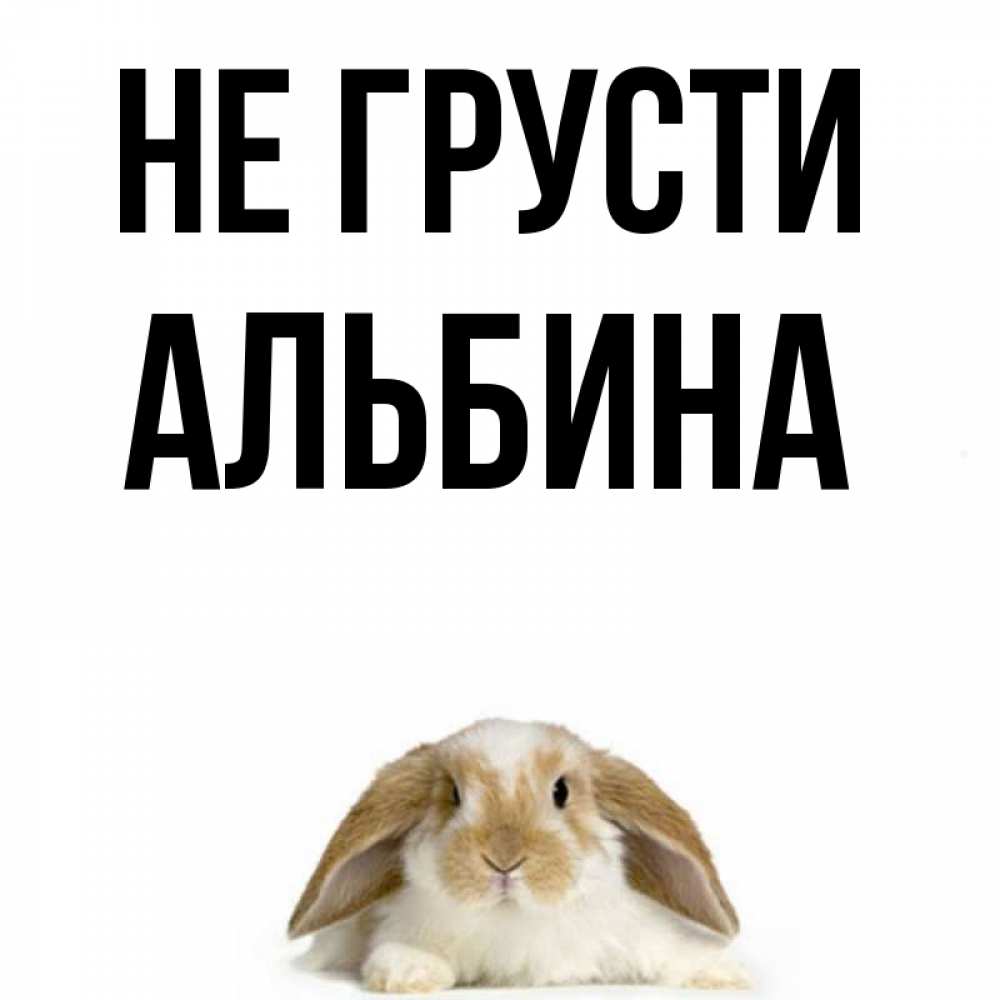Открытка на каждый день с именем, Альбина Не грусти коричнево белый заяц с большими ушками Прикольная открытка с пожеланием онлайн скачать бесплатно 