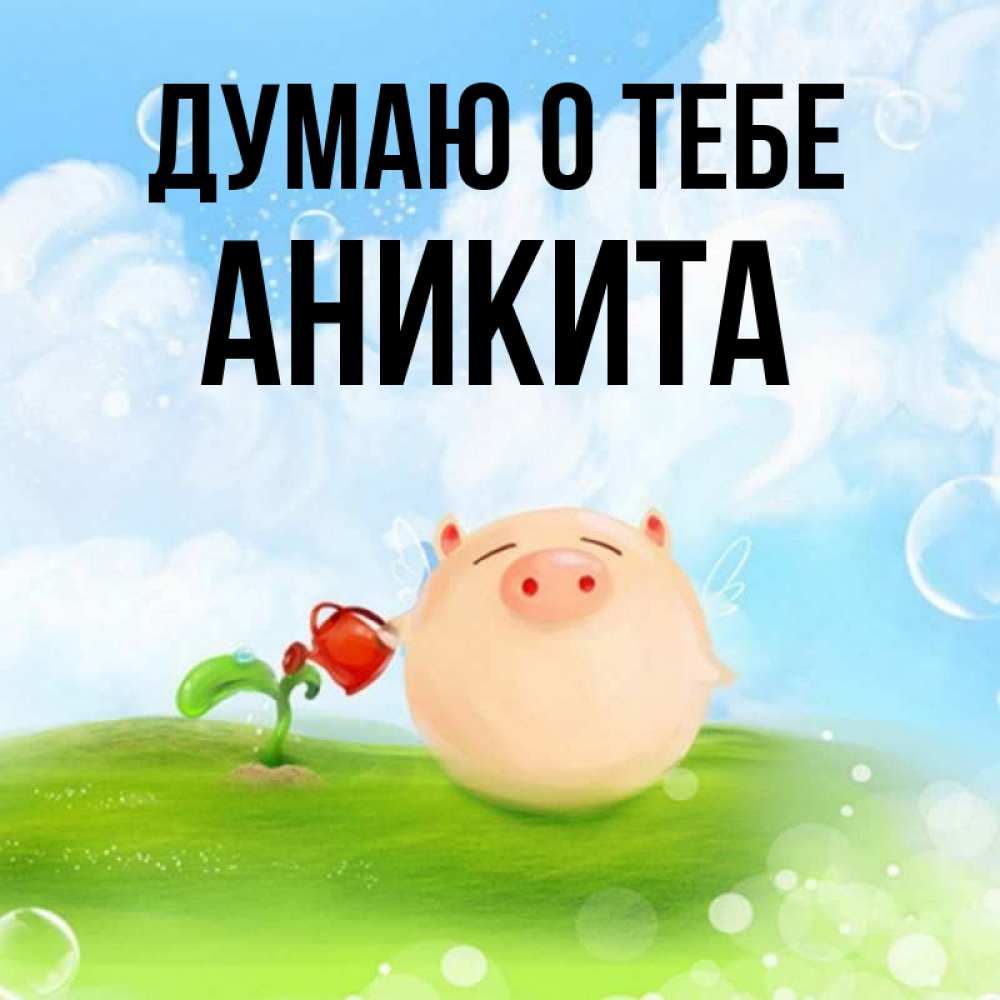 Открытка на каждый день с именем, Аникита Думаю о тебе позитивная свинюшка Прикольная открытка с пожеланием онлайн скачать бесплатно 
