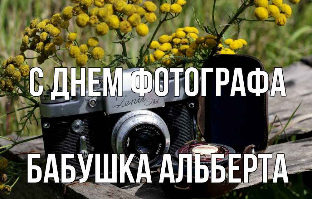 Открытка на каждый день с именем, Бабушка-Альберта С днем фотографа с днем фотографа Прикольная открытка с пожеланием онлайн скачать бесплатно 