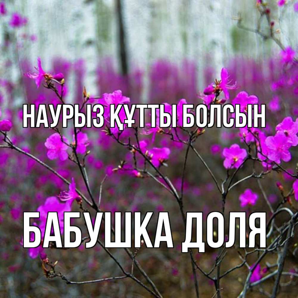 Открытка на каждый день с именем, Бабушка-Доля Наурыз құтты болсын дикие цветы Прикольная открытка с пожеланием онлайн скачать бесплатно 