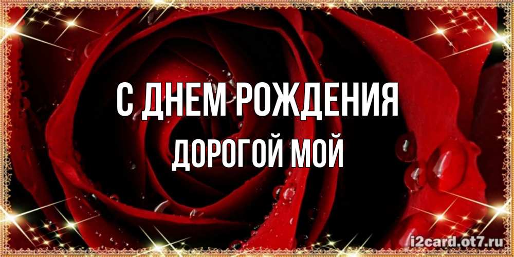 Открытка на каждый день с именем, Дорогой-мой С днем рождения цветок в росе на день рождения Прикольная открытка с пожеланием онлайн скачать бесплатно 