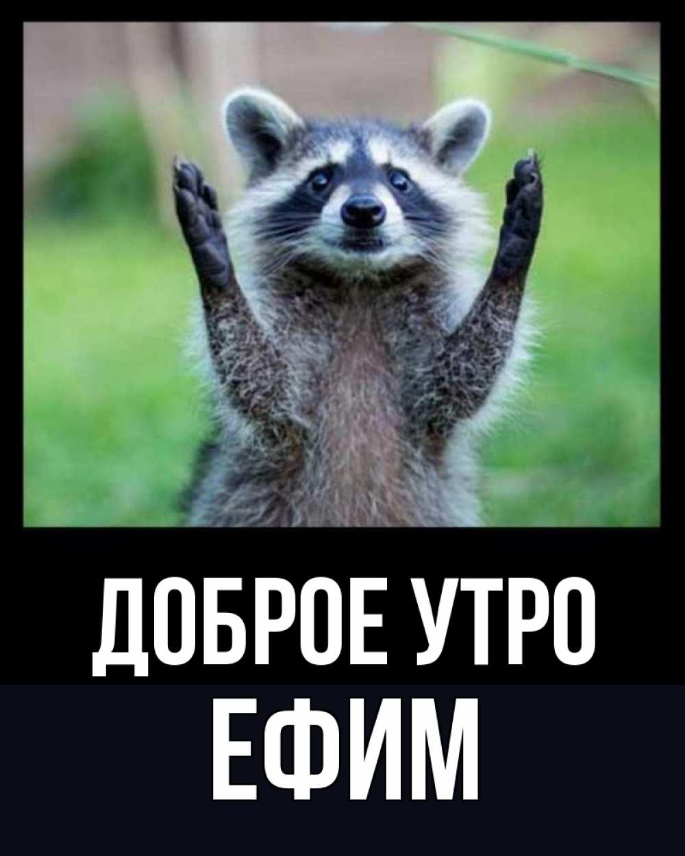Открытка на каждый день с именем, Ефим Доброе утро хорошее настроение утречком Прикольная открытка с пожеланием онлайн скачать бесплатно 
