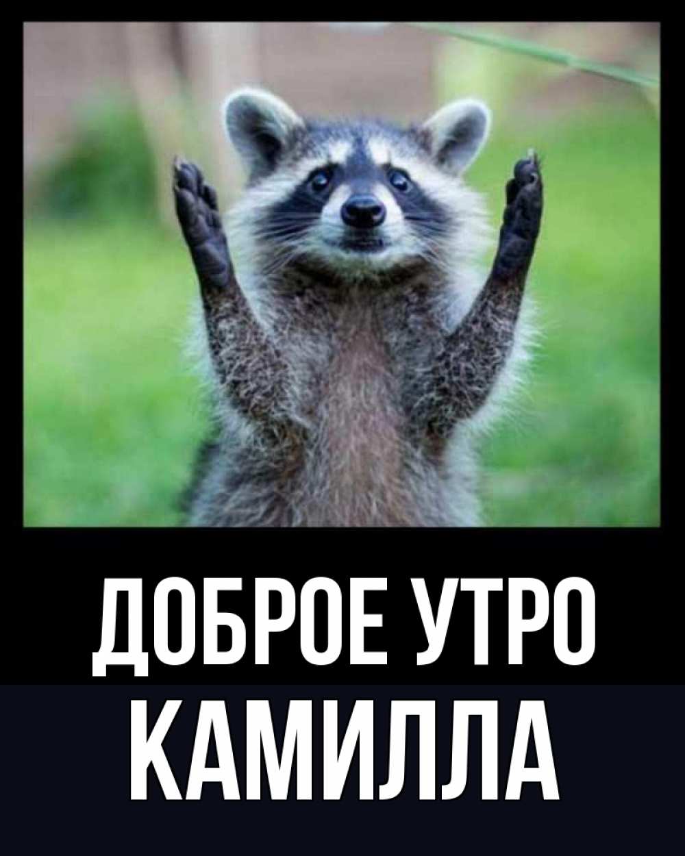 Открытка на каждый день с именем, Камилла Доброе утро хорошее настроение утречком Прикольная открытка с пожеланием онлайн скачать бесплатно 