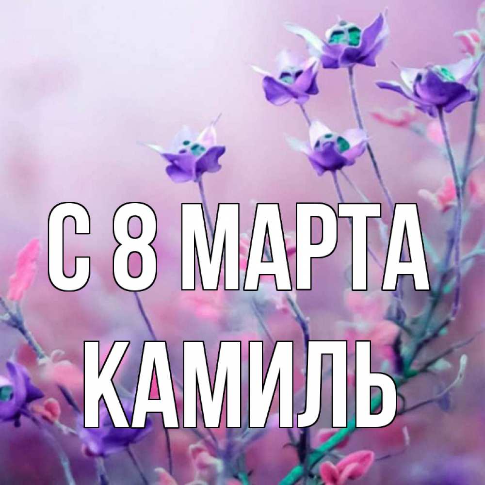 Открытка на каждый день с именем, Камиль С 8 марта международный женский день 2 Прикольная открытка с пожеланием онлайн скачать бесплатно 