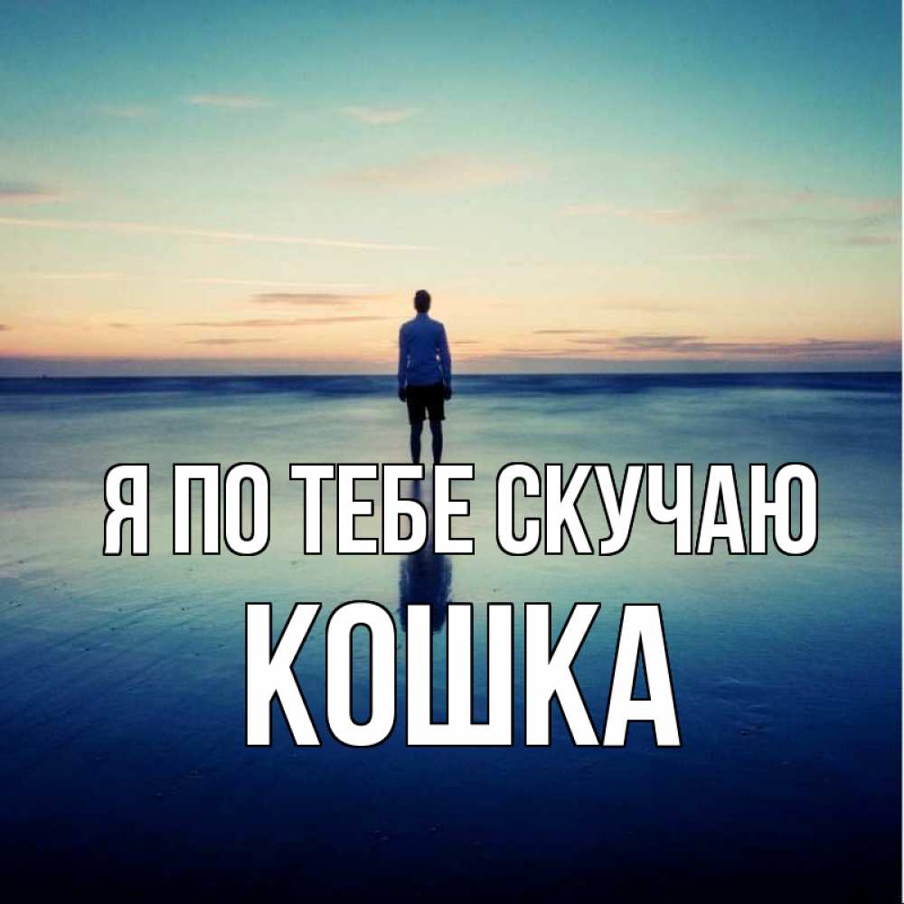 Открытка на каждый день с именем, Кошка Я по тебе скучаю зима Прикольная открытка с пожеланием онлайн скачать бесплатно 