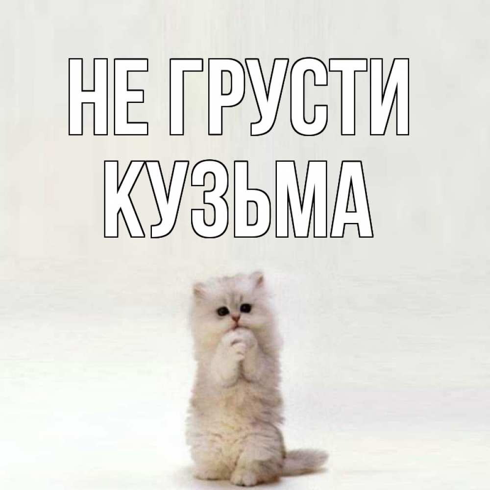 Открытка на каждый день с именем, Кузьма Не грусти грустный кот Прикольная открытка с пожеланием онлайн скачать бесплатно 