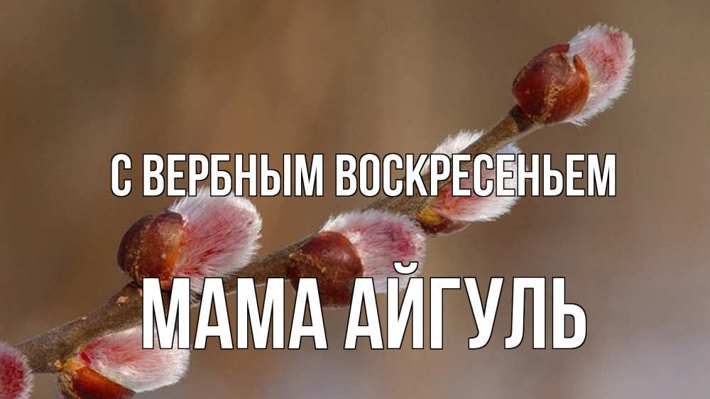 Открытка на каждый день с именем, Мама-Айгуль С вербным воскресеньем верба Прикольная открытка с пожеланием онлайн скачать бесплатно 