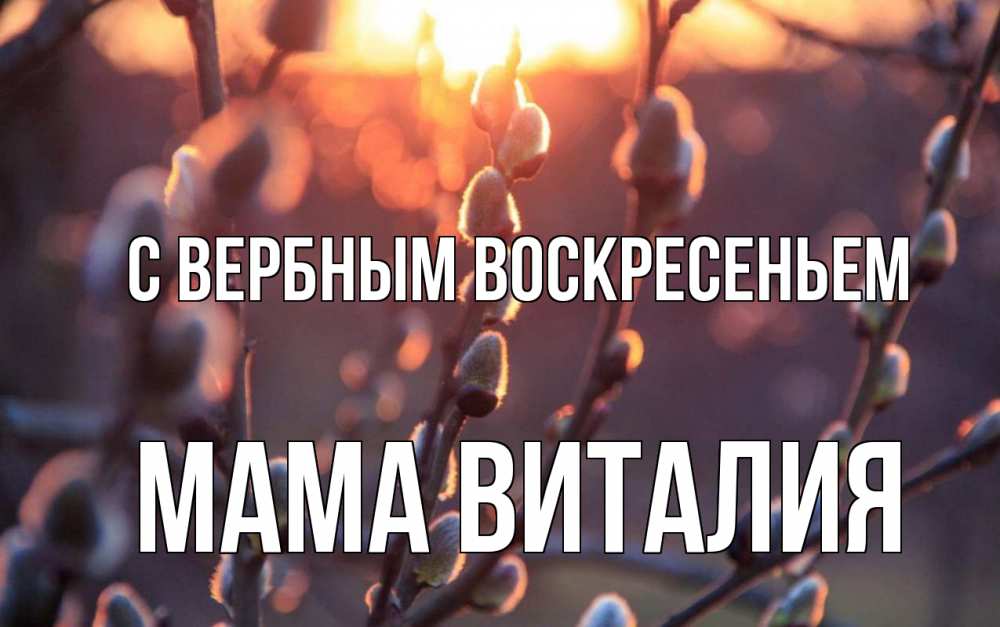 Открытка на каждый день с именем, Мама-Виталия С вербным воскресеньем верба Прикольная открытка с пожеланием онлайн скачать бесплатно 