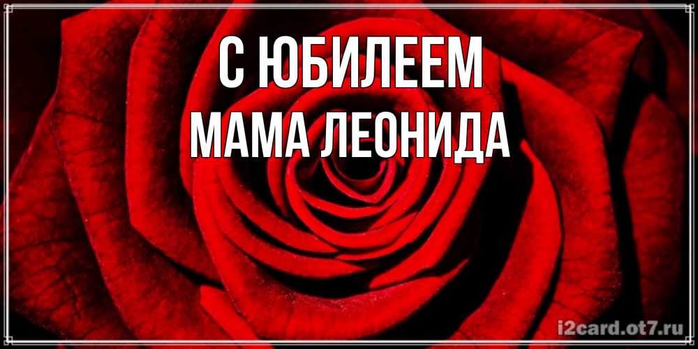 Открытка на каждый день с именем, Мама-Леонида С юбилеем алая роза Прикольная открытка с пожеланием онлайн скачать бесплатно 