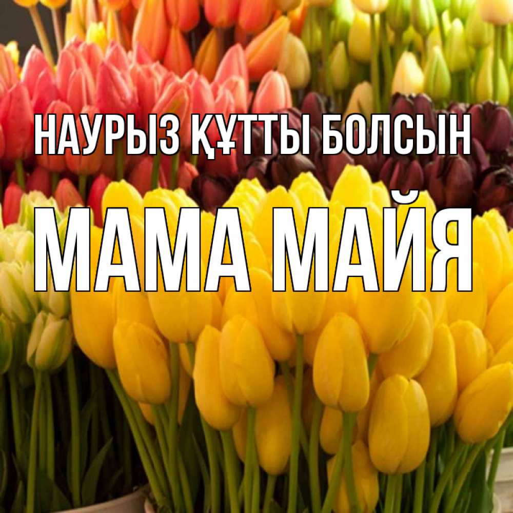 Открытка на каждый день с именем, Мама-Майя Наурыз құтты болсын цветы Прикольная открытка с пожеланием онлайн скачать бесплатно 