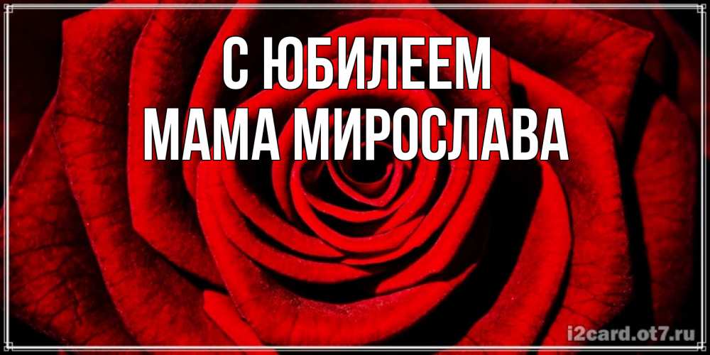 Открытка на каждый день с именем, Мама-Мирослава С юбилеем алая роза Прикольная открытка с пожеланием онлайн скачать бесплатно 