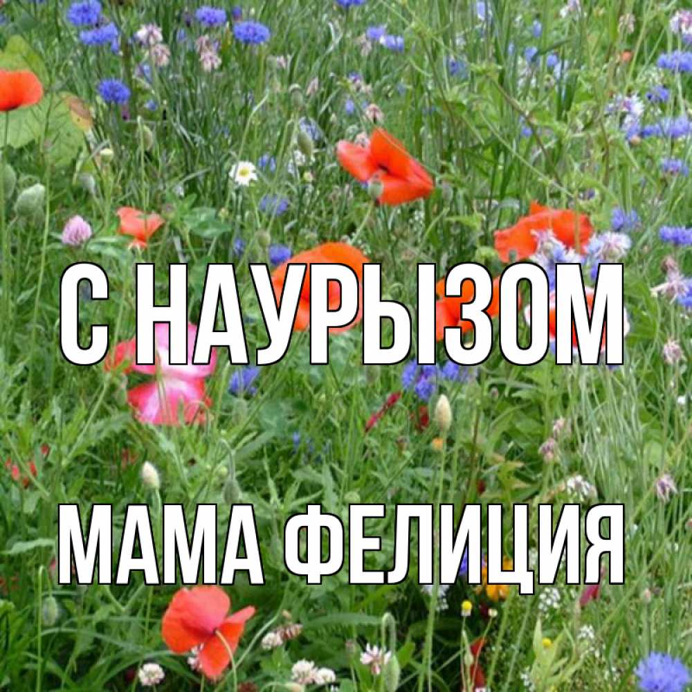 Открытка на каждый день с именем, Мама-Фелиция С наурызом праздник весны наурыз супер открытка Прикольная открытка с пожеланием онлайн скачать бесплатно 