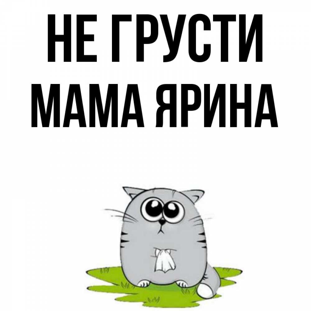 Открытка на каждый день с именем, Мама-Ярина Не грусти грустный котяра Прикольная открытка с пожеланием онлайн скачать бесплатно 