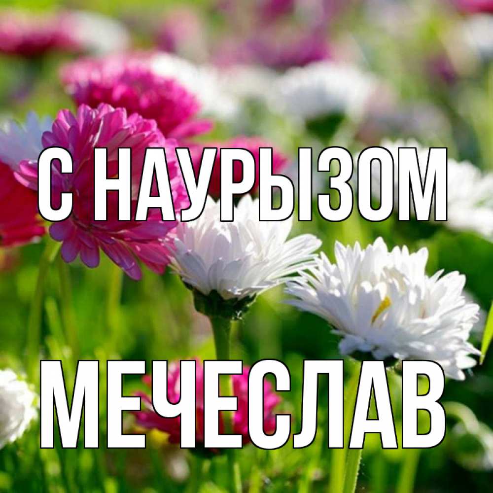 Открытка на каждый день с именем, Мечеслав С наурызом праздник весны наурыз красота Прикольная открытка с пожеланием онлайн скачать бесплатно 