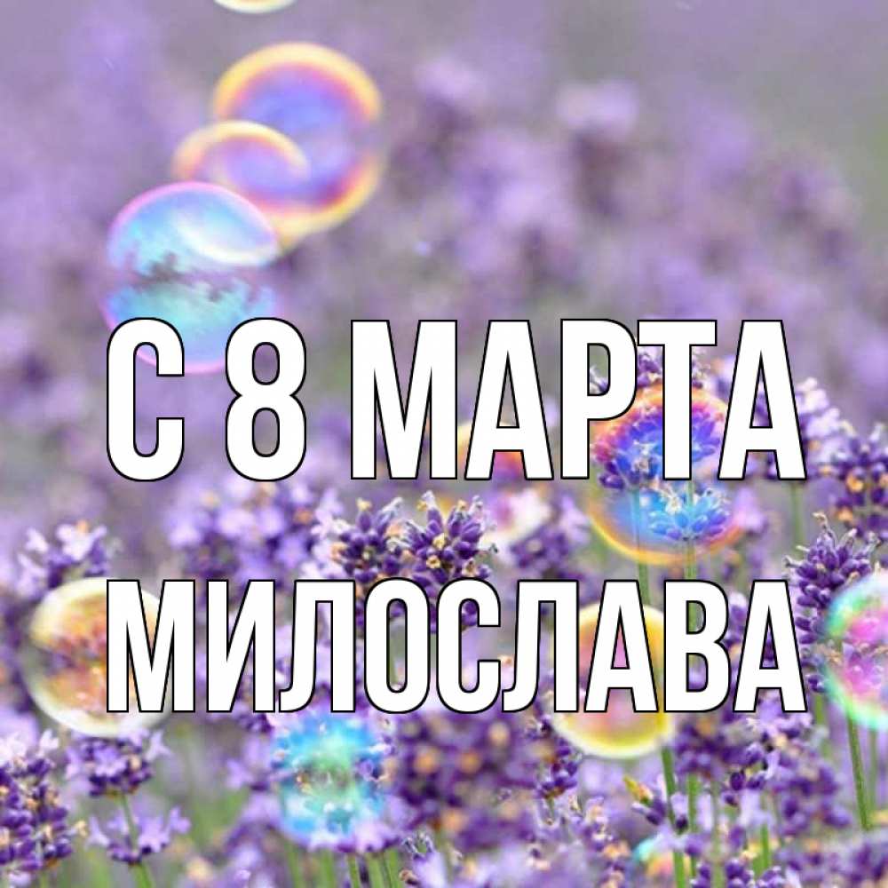 Открытка на каждый день с именем, Милослава С 8 МАРТА цветы Прикольная открытка с пожеланием онлайн скачать бесплатно 