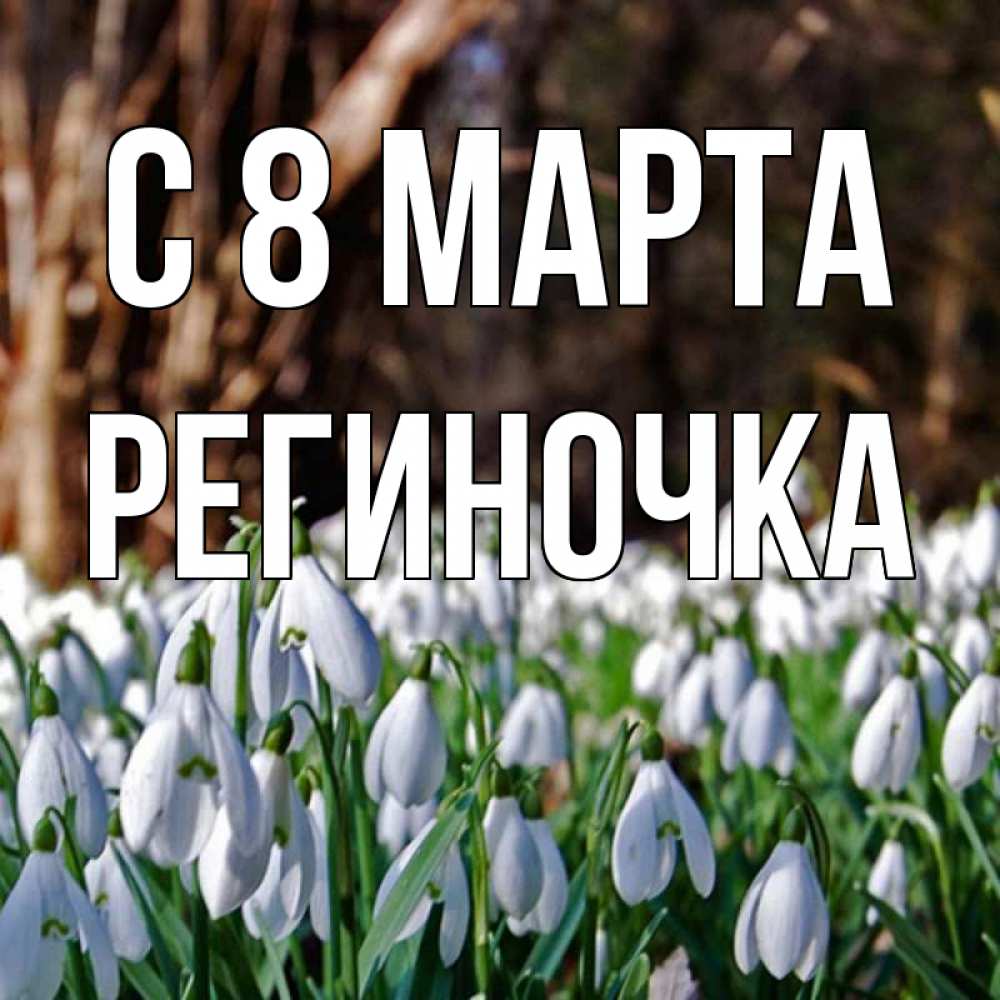 Открытка на каждый день с именем, Региночка С 8 марта с подснежниками 1 Прикольная открытка с пожеланием онлайн скачать бесплатно 