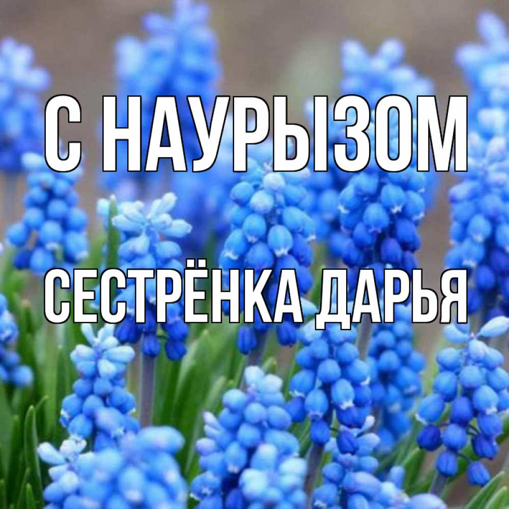 Открытка на каждый день с именем, Сестрёнка-Дарья С наурызом Поздравительная открытка для женщин с цветами на праздничную дату Прикольная открытка с пожеланием онлайн скачать бесплатно 