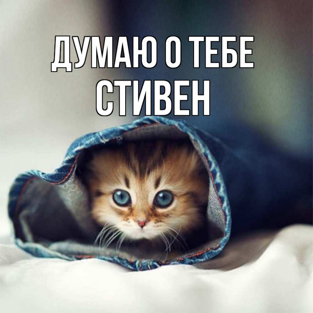 Открытка на каждый день с именем, Стивен Думаю о тебе мне без тебя плохо Прикольная открытка с пожеланием онлайн скачать бесплатно 