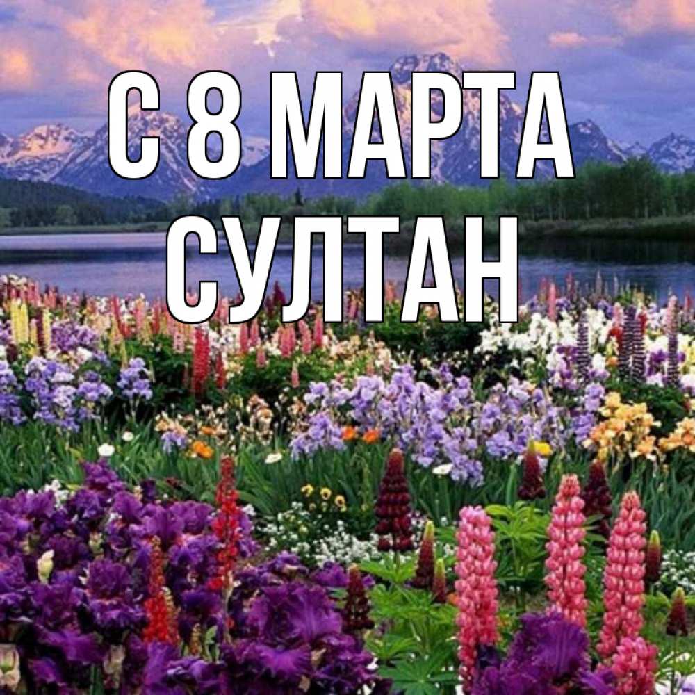 Открытка на каждый день с именем, Султан С 8 МАРТА международный женский день Прикольная открытка с пожеланием онлайн скачать бесплатно 