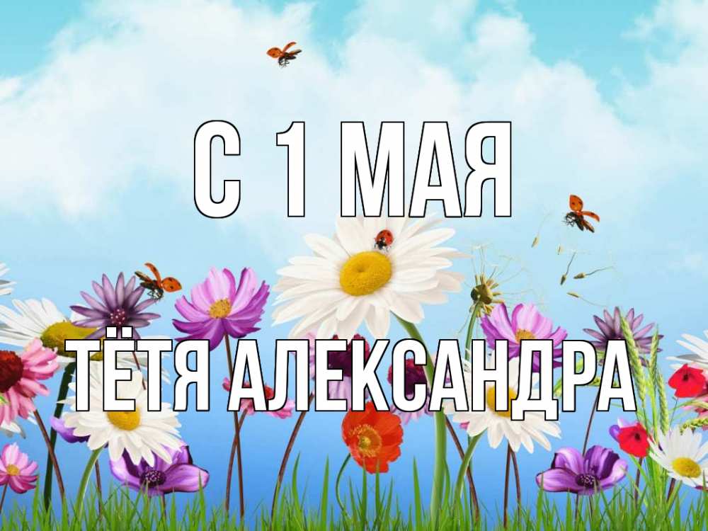Открытка на каждый день с именем, Тётя-Александра С 1 мая С 1 мая Прикольная открытка с пожеланием онлайн скачать бесплатно 