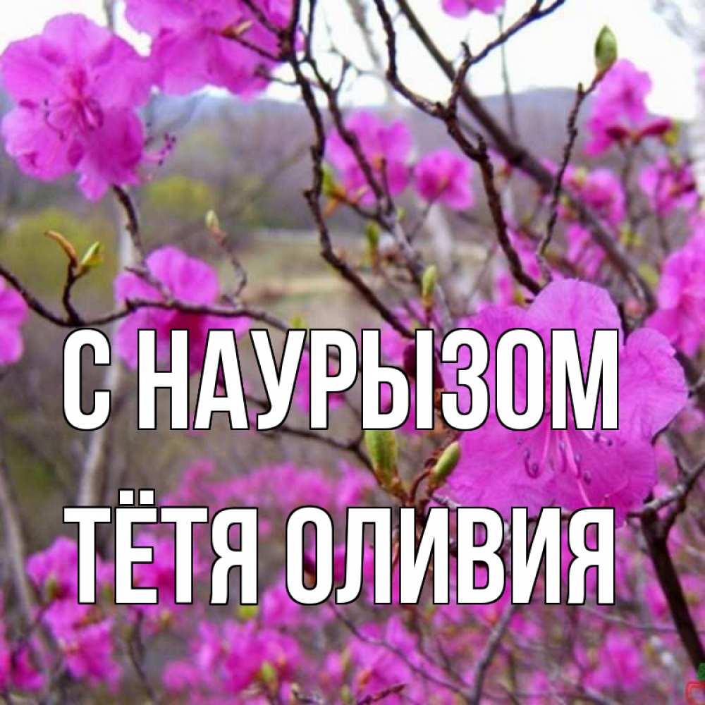 Открытка на каждый день с именем, Тётя-Оливия С наурызом праздник весны наурыз Прикольная открытка с пожеланием онлайн скачать бесплатно 