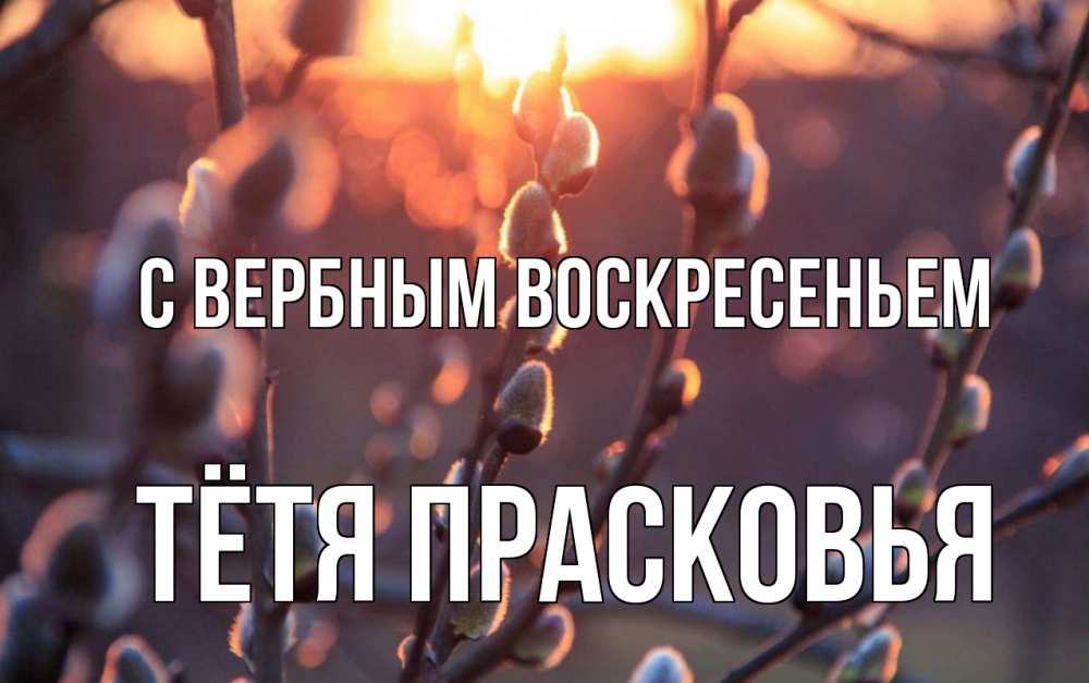 Открытка на каждый день с именем, Тётя-Прасковья С вербным воскресеньем верба Прикольная открытка с пожеланием онлайн скачать бесплатно 
