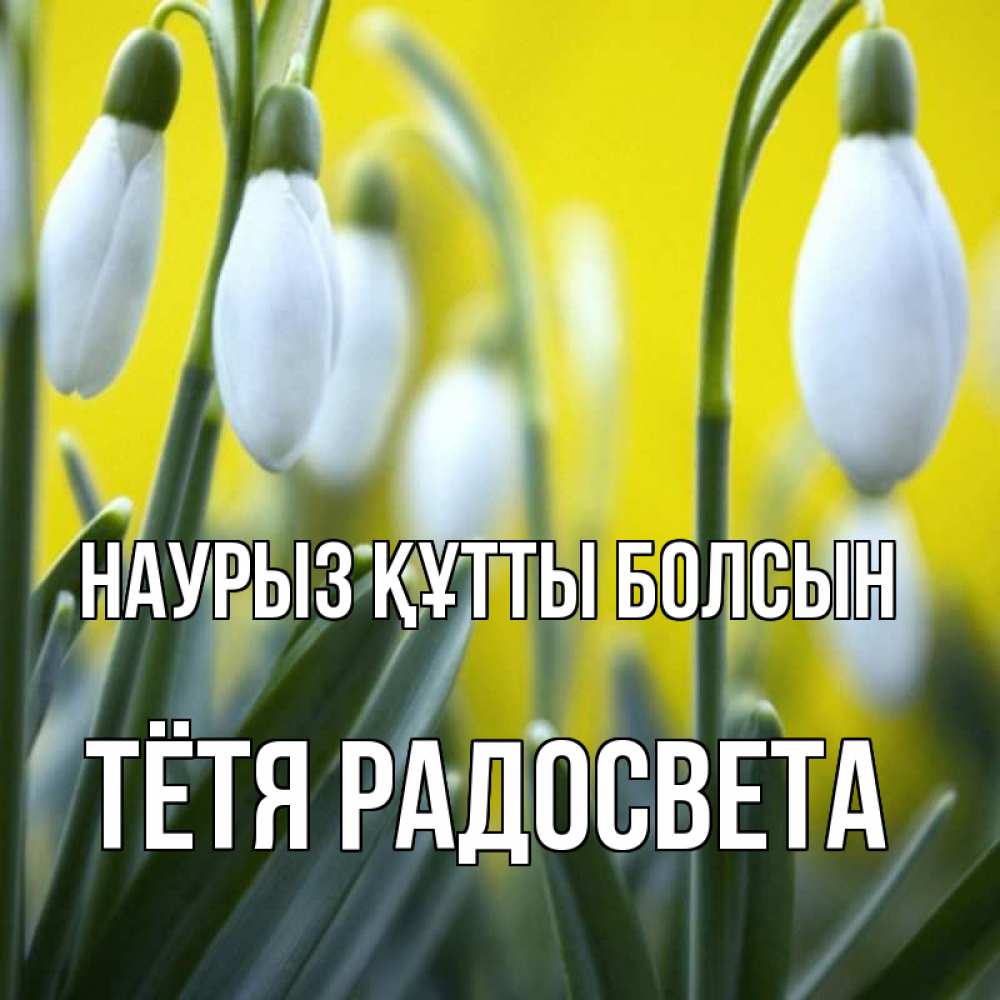Открытка на каждый день с именем, Тётя-Радосвета Наурыз құтты болсын весенние цветы Прикольная открытка с пожеланием онлайн скачать бесплатно 