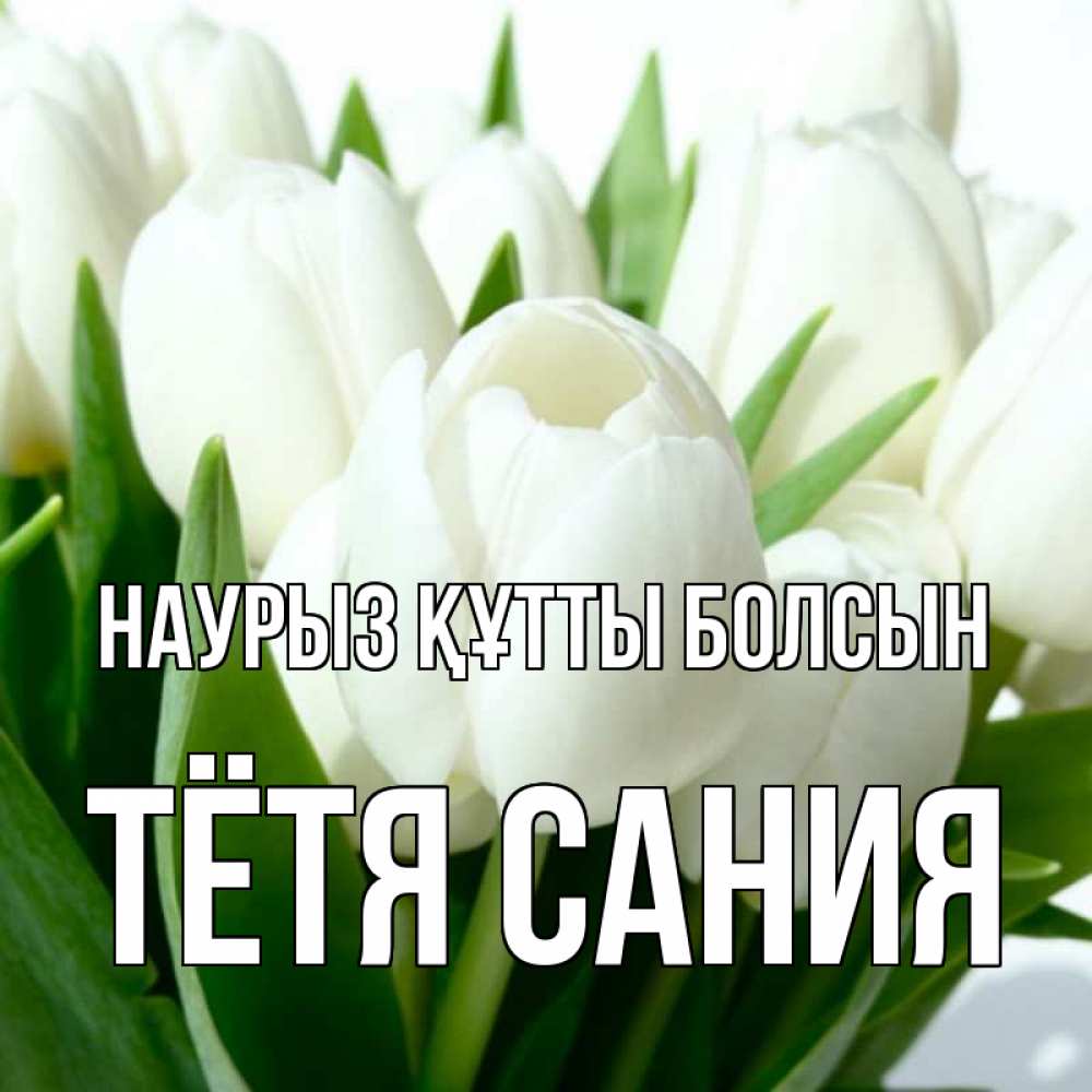 Открытка на каждый день с именем, Тётя-Сания Наурыз құтты болсын цветы Прикольная открытка с пожеланием онлайн скачать бесплатно 