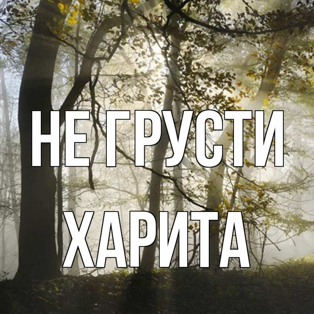 Открытка на каждый день с именем, Харита Не грусти лес и свет Прикольная открытка с пожеланием онлайн скачать бесплатно 